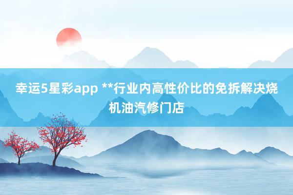 幸运5星彩app **行业内高性价比的免拆解决烧机油汽修门店